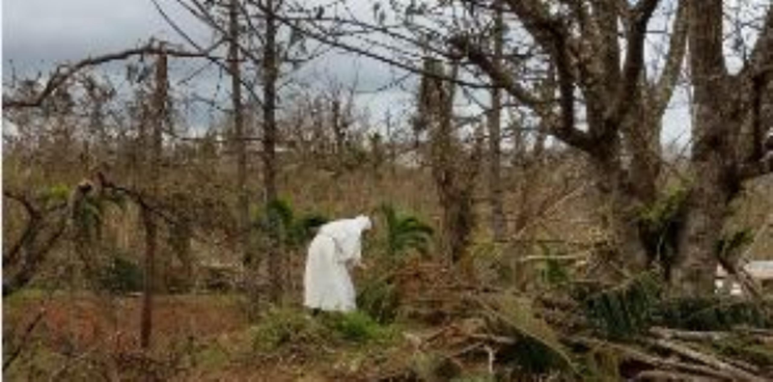 Una monja trata de atender los destrozos causados en la vegetación cerca del convento en Aibonito. (Archivo)