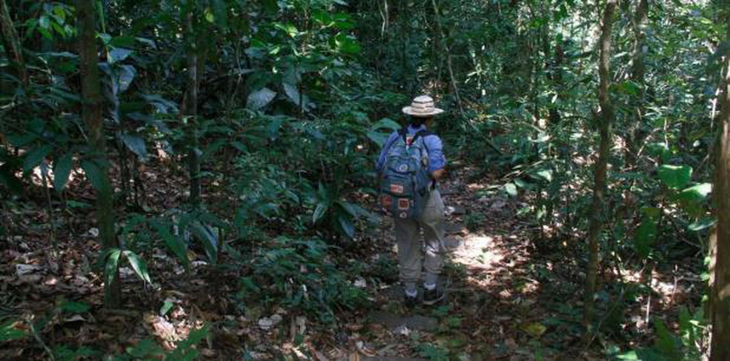 a investigación durará tres años y fue seleccionada por la NASA dentro del Programa de Pronósticos Ecológicos en el marco de la convocatoria de Oportunidades de Investigación en Ciencias Espaciales y de la Tierra 2018.  (EFE)