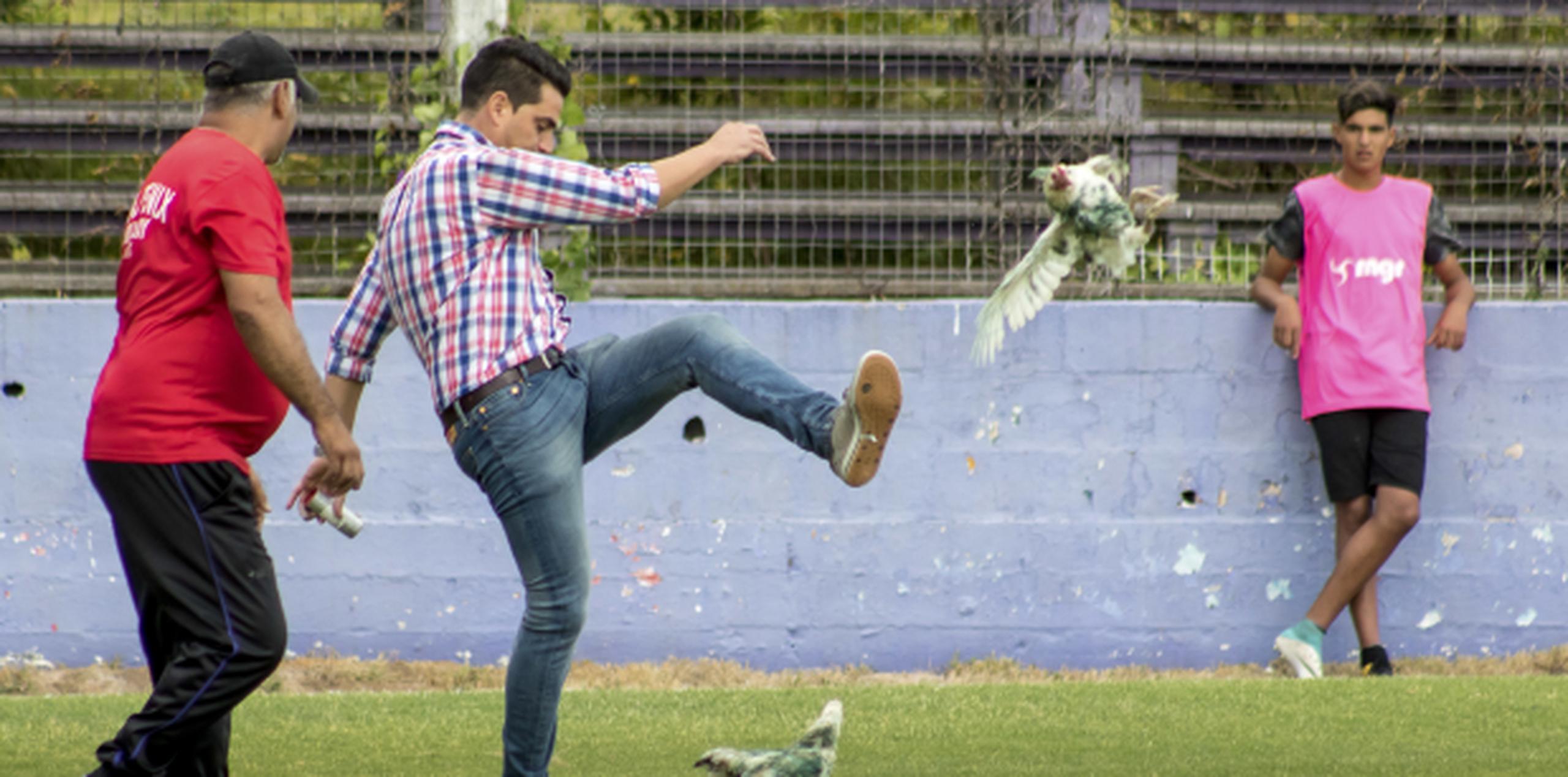 El director del club Fénix de la primera división uruguaya, Gastón Alegari, pateando una gallina que fue lanzada a la cancha durante un partido contra Racing, en Montevideo. (AP / Mauricio Castillo)