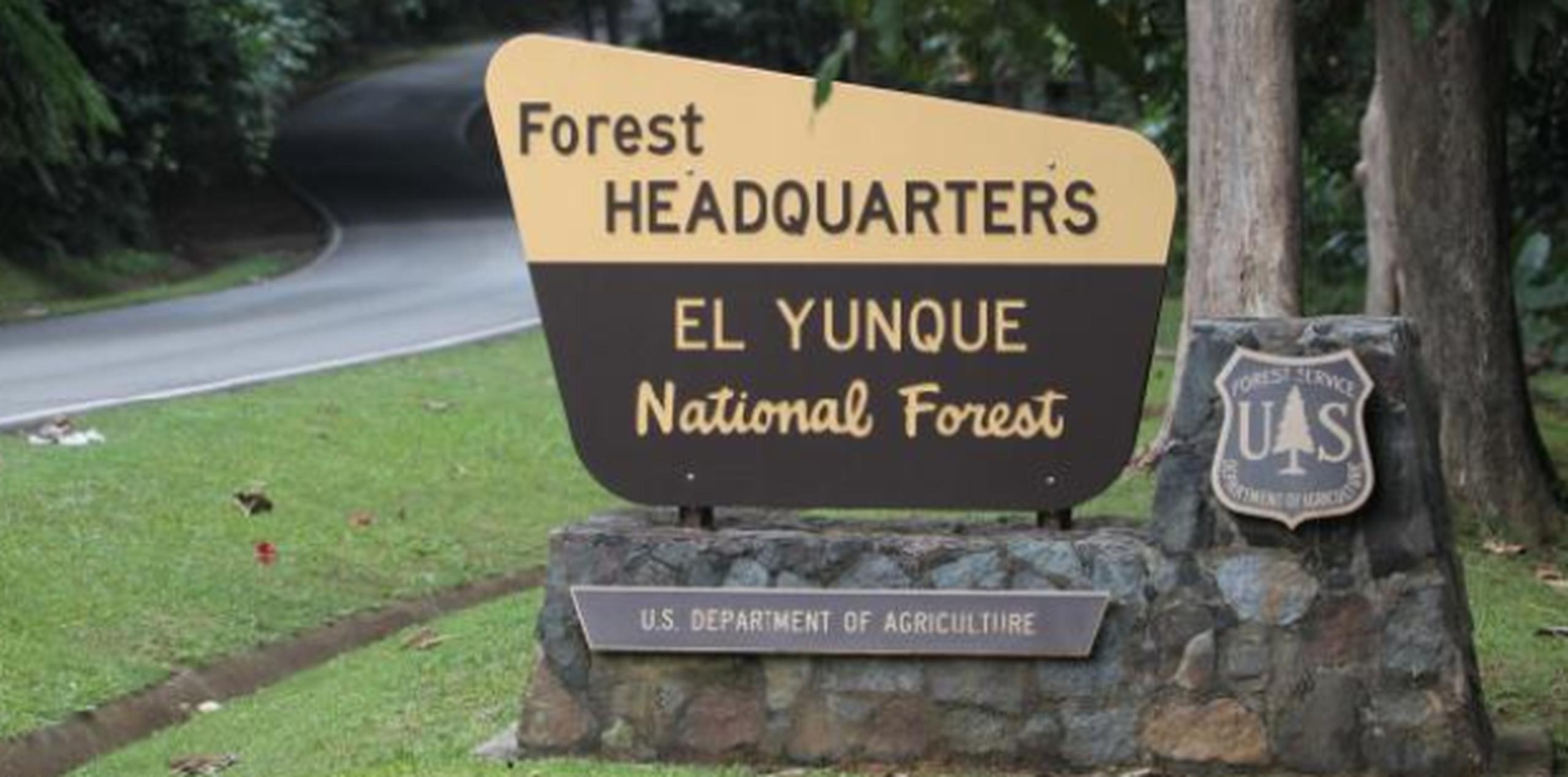 Quedó afectado un tramo de la carretera PR-191, en dirección hacia el bosque subtropical de El Yunque. (Archivo)