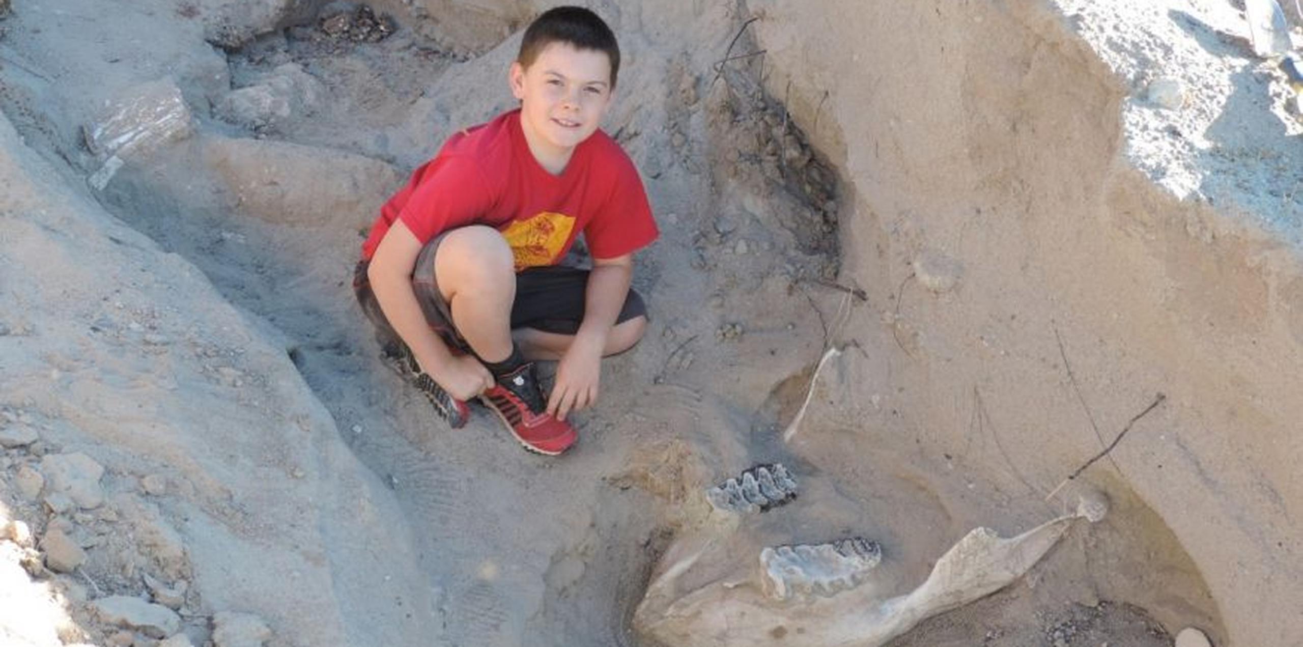 Jude Sparks, de 10 años, realizaba una excursión en el desierto cerca de Las Cruces cuando tropezó con lo que resultó ser el colmillo fosilizado de un estegomastodonte, una bestia similar al elefante. (Twitter)