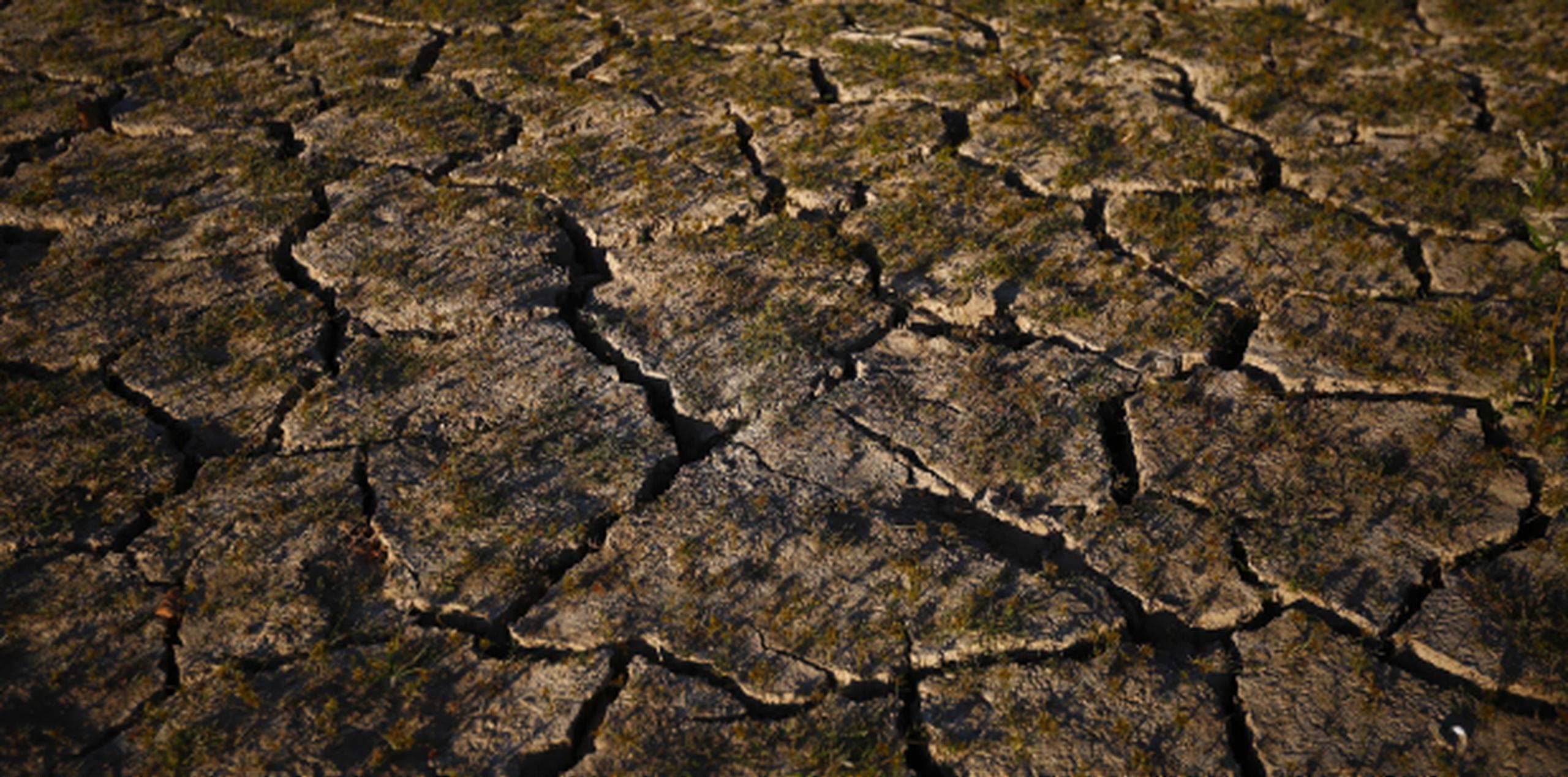 En total, un 6% de la superficie del estado se encuentra en situación de "sequía extrema". (Archivo)