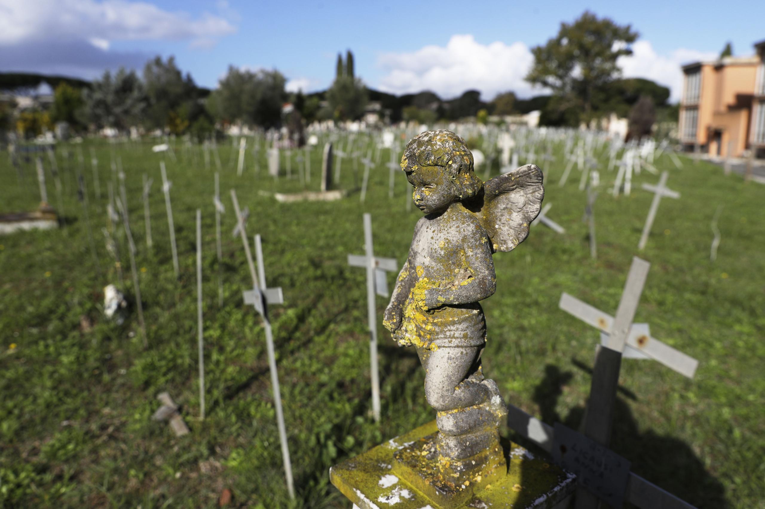 Fiscales investigan cómo los nombres de mujeres que abortaron aparecieron en cruces sobre las tumbas de los fetos en este cementerio.