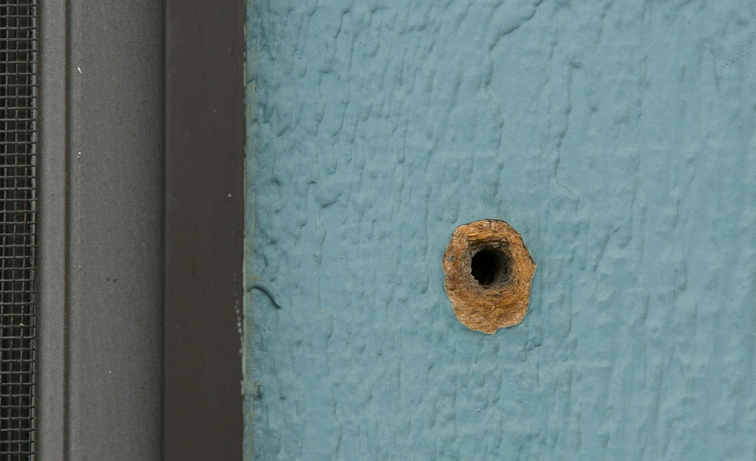 Uno de los agujeros de bala en una pared exterior de la escuela elemental Rancho Tehama. (AP / Rich Pedroncelli)