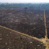 Brasil da por concluido despliegue militar en Amazonia