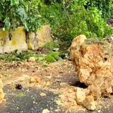 Reportan deslizamiento de tierra en Trujillo Alto y Ceiba 