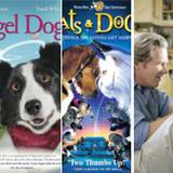 Filmes sobre mascotas