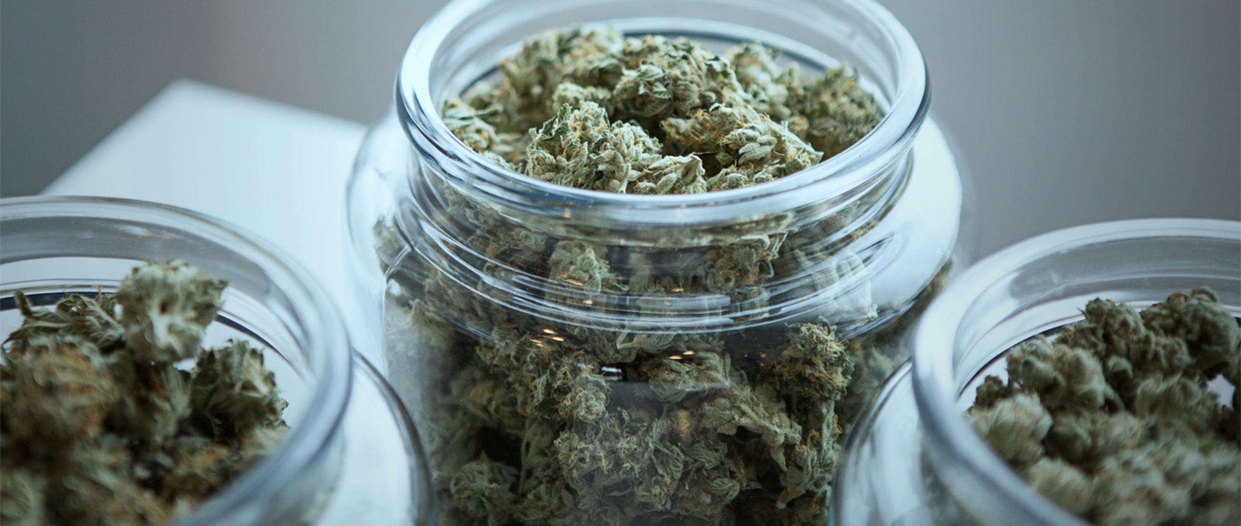 De acuerdo con algunos estudiosos, el cannabis medicinal debe considerarse como una alternativa de tratamiento dado que tiene mucho potencial. (Get Budding / Unsplash)