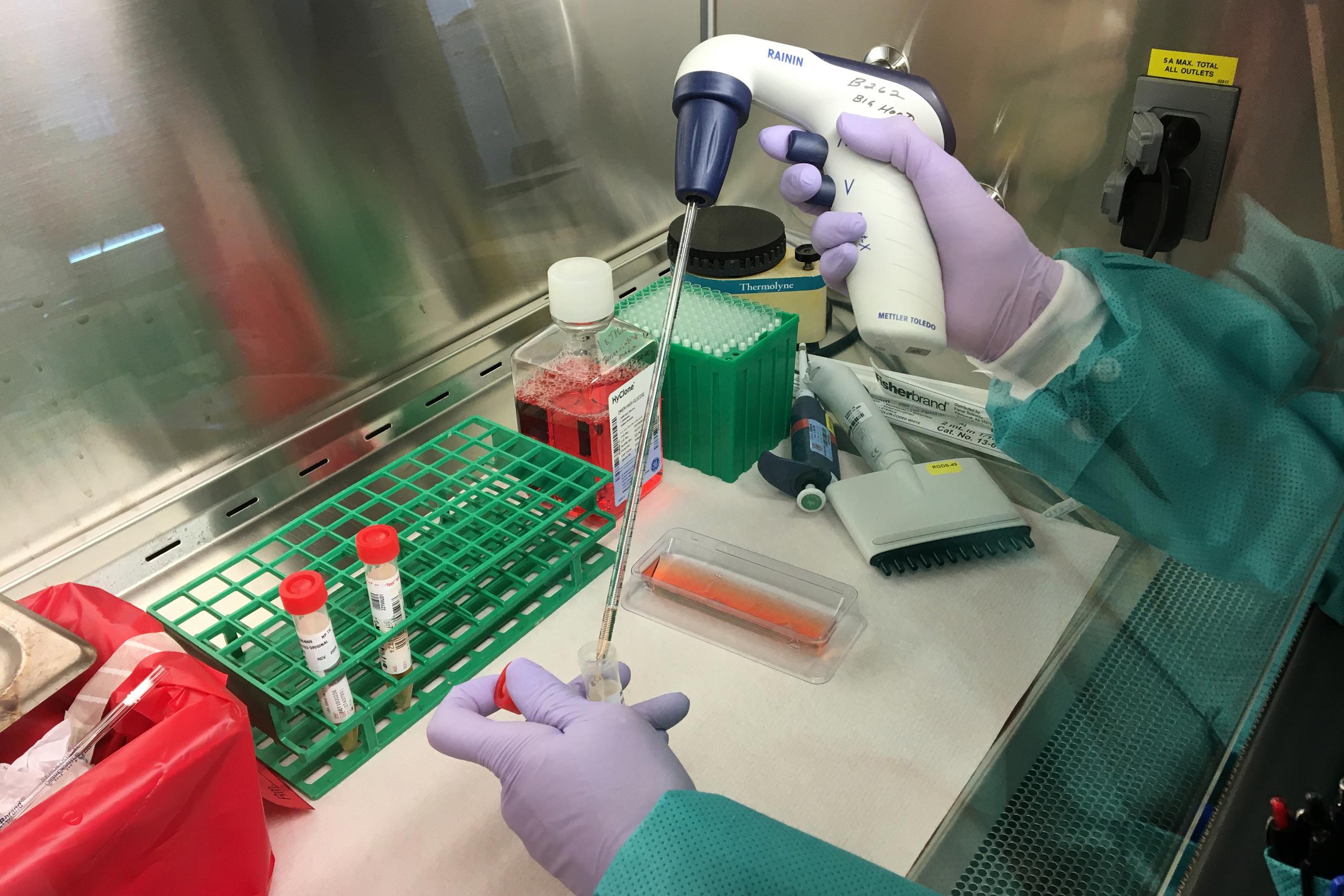 Demostración del equipo y los procedimientos a efectuarse en un laboratorio del departamento en Richmond, California, para realizar pruebas de detección del nuevo coronavirus