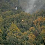Casi 160,000 hectáreas quemadas en Grecia en lo que va de año