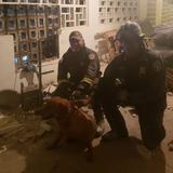 Policías rescatan perro atrapado entre dos paredes 