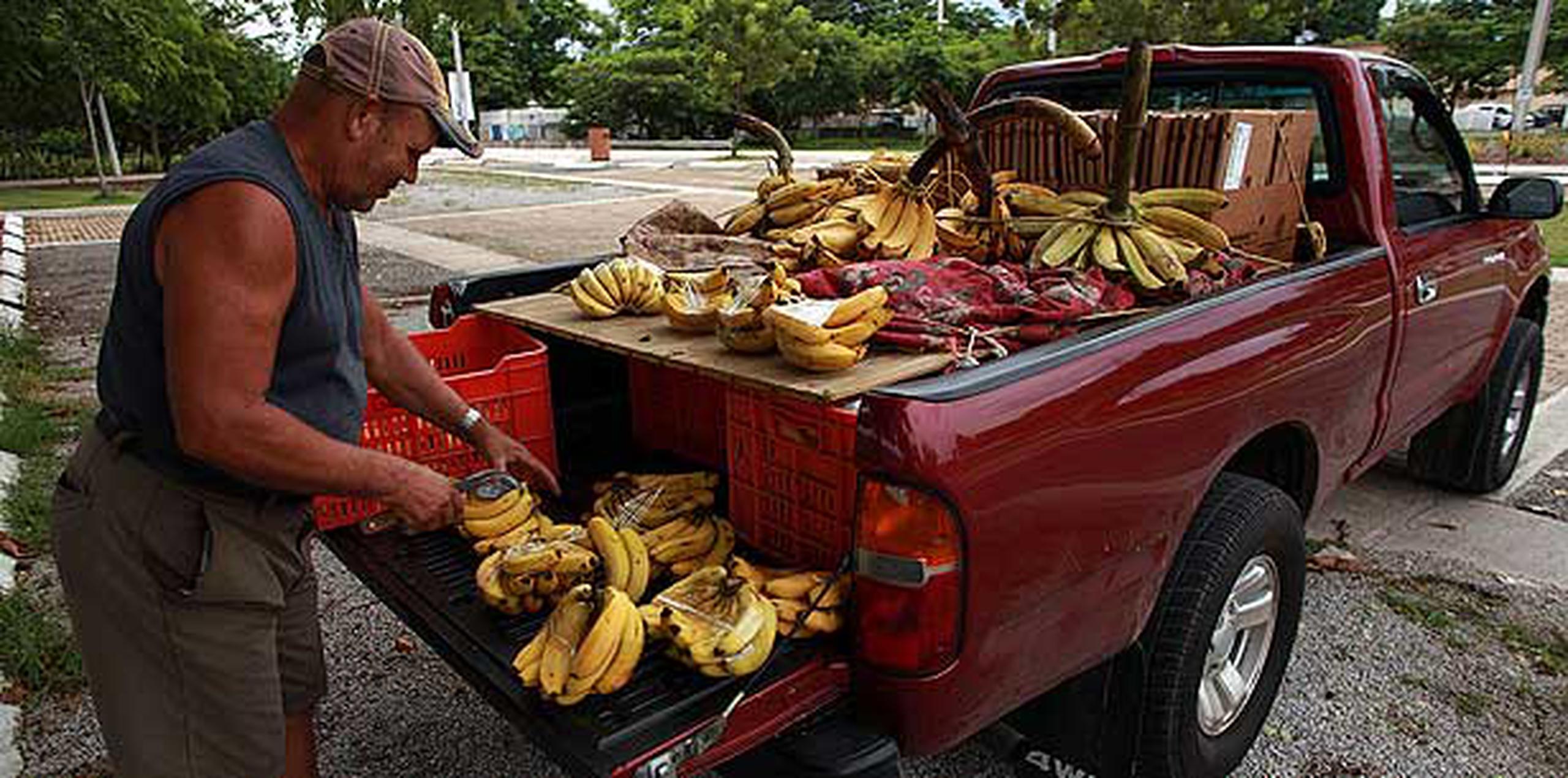Alvino Guilloty, un vendedor de verduras de Maricao, dijo que había “bajado” a las 2:00 de la madrugada para el pueblo de Mayagüez, para hacer sus ventas de plátano en los semáforos como todos los días. (GFR Media/Olimpo Ramos)