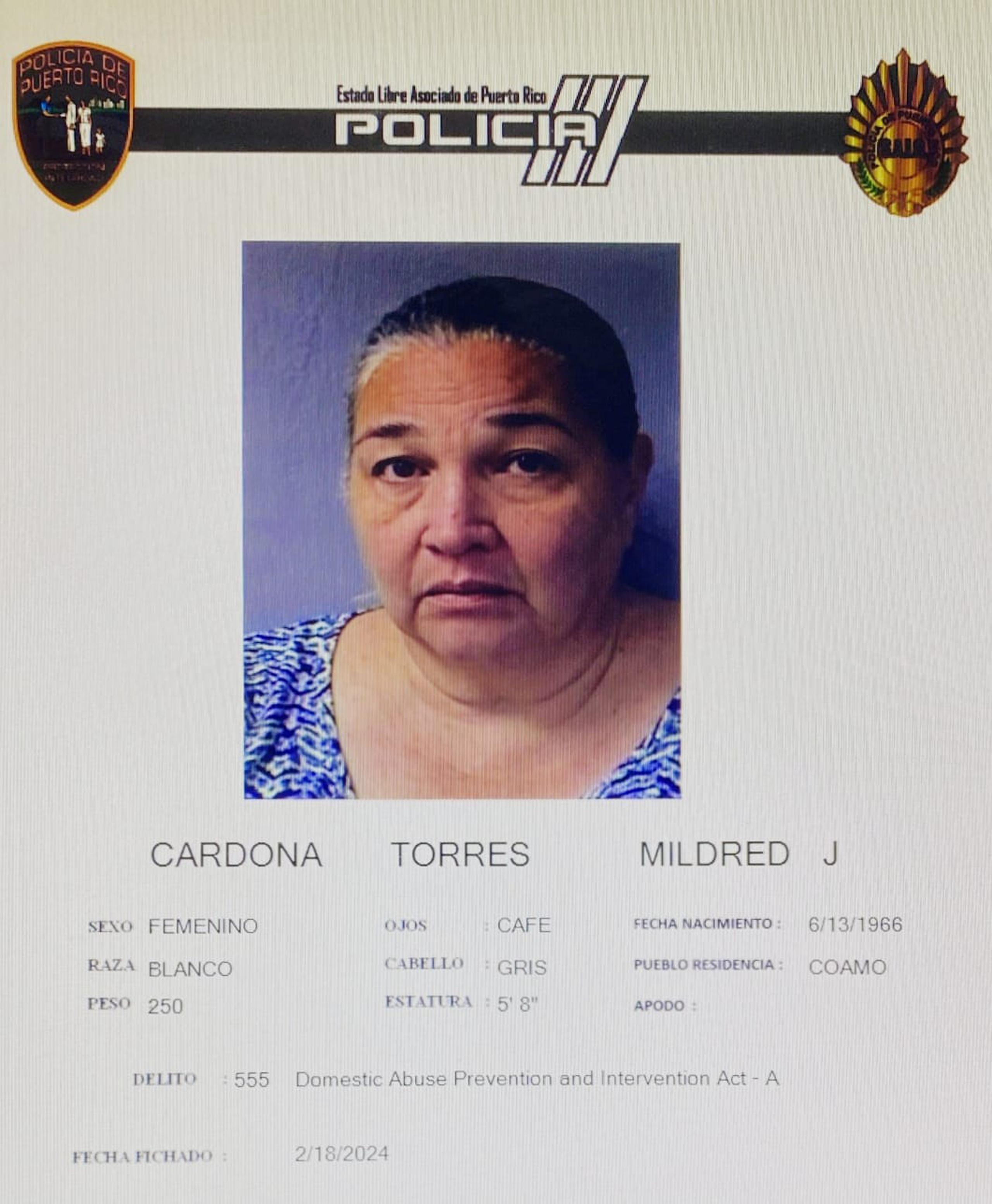Mildred J. Cardona Torres, de 57 años, está acusada por violación a los artículos 3.1 (maltrato) y 3.4 (restricción de la libertad) de la Ley para la Prevención e Intervención con la Violencia Doméstica.