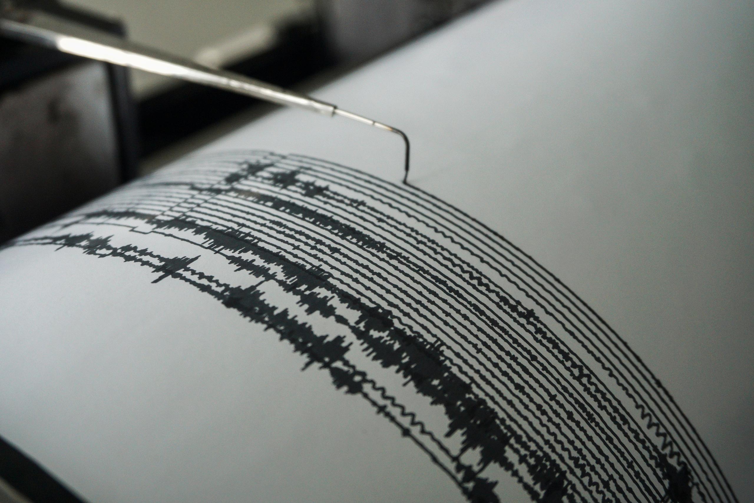 Imagen de archivo de un sismógrafo. EFE/EPA/AMMAR
