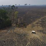 La deforestación de la Amazonía brasileña tuvo la mayor tasa del año en julio 