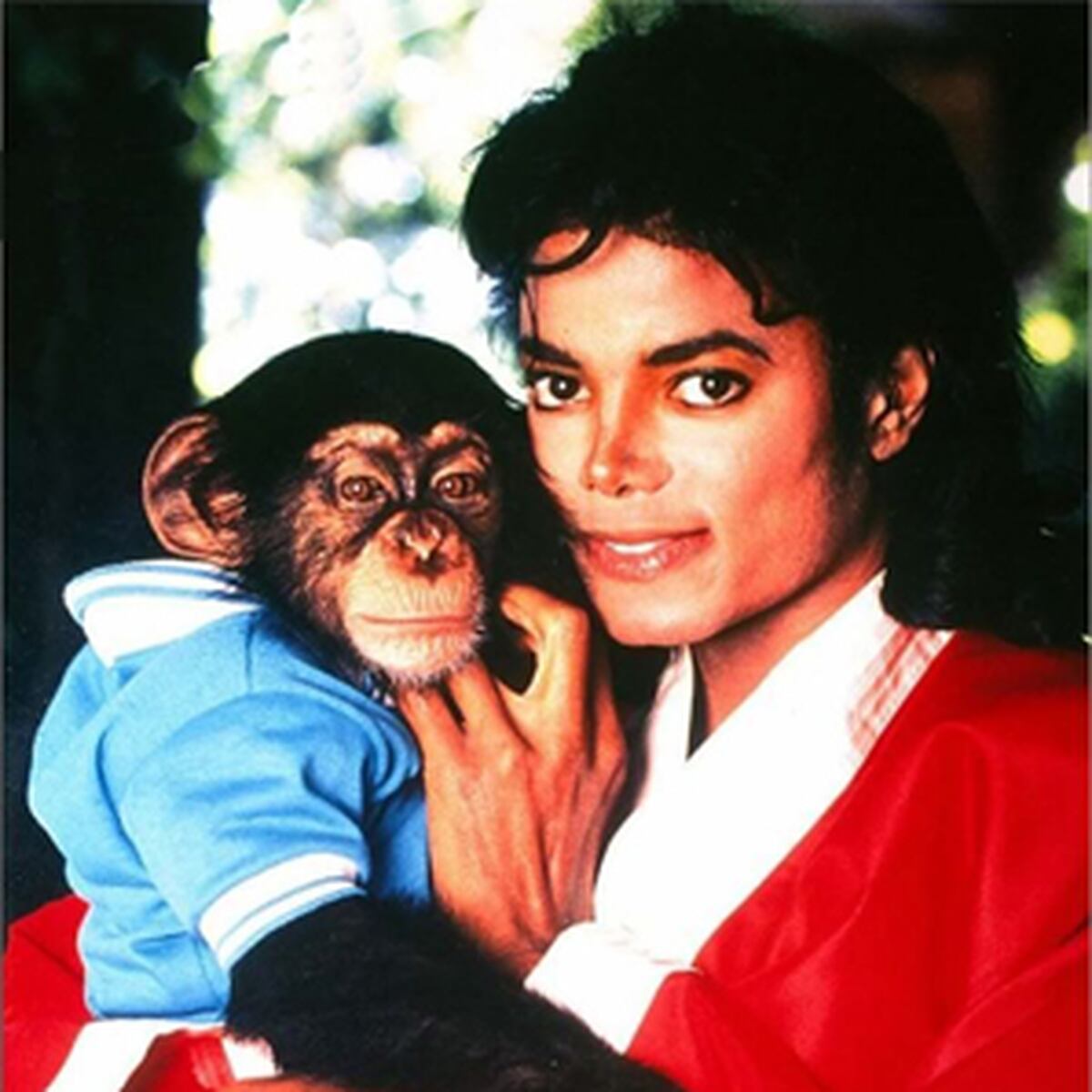 En El Olvido El Mono De Michael Jackson Primera Hora
