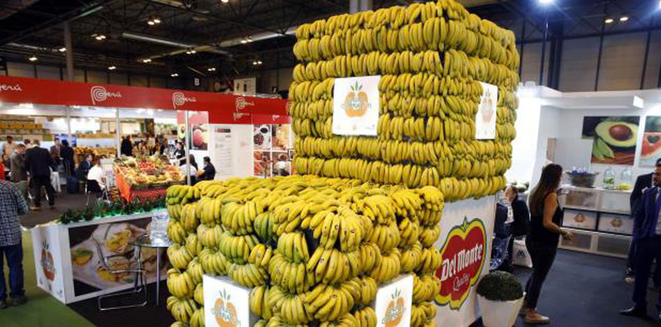 La producción de guineos se da en 135 países y en territorios en zonas tropicales y subtropicales. Actualmente, el comercio de exportación internacional de banano asciende a más de 10 billones de dólares, de acuerdo con la FAO. (EFE)