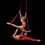 Llega a la Isla el espectáculo “Le Cirque”