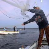 Pescadores batallan contra el cambio climático y todavía no se recuperan de los daños de María