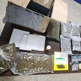 Ocupan 12 libras de marihuana en un allanamiento en Bayamón 