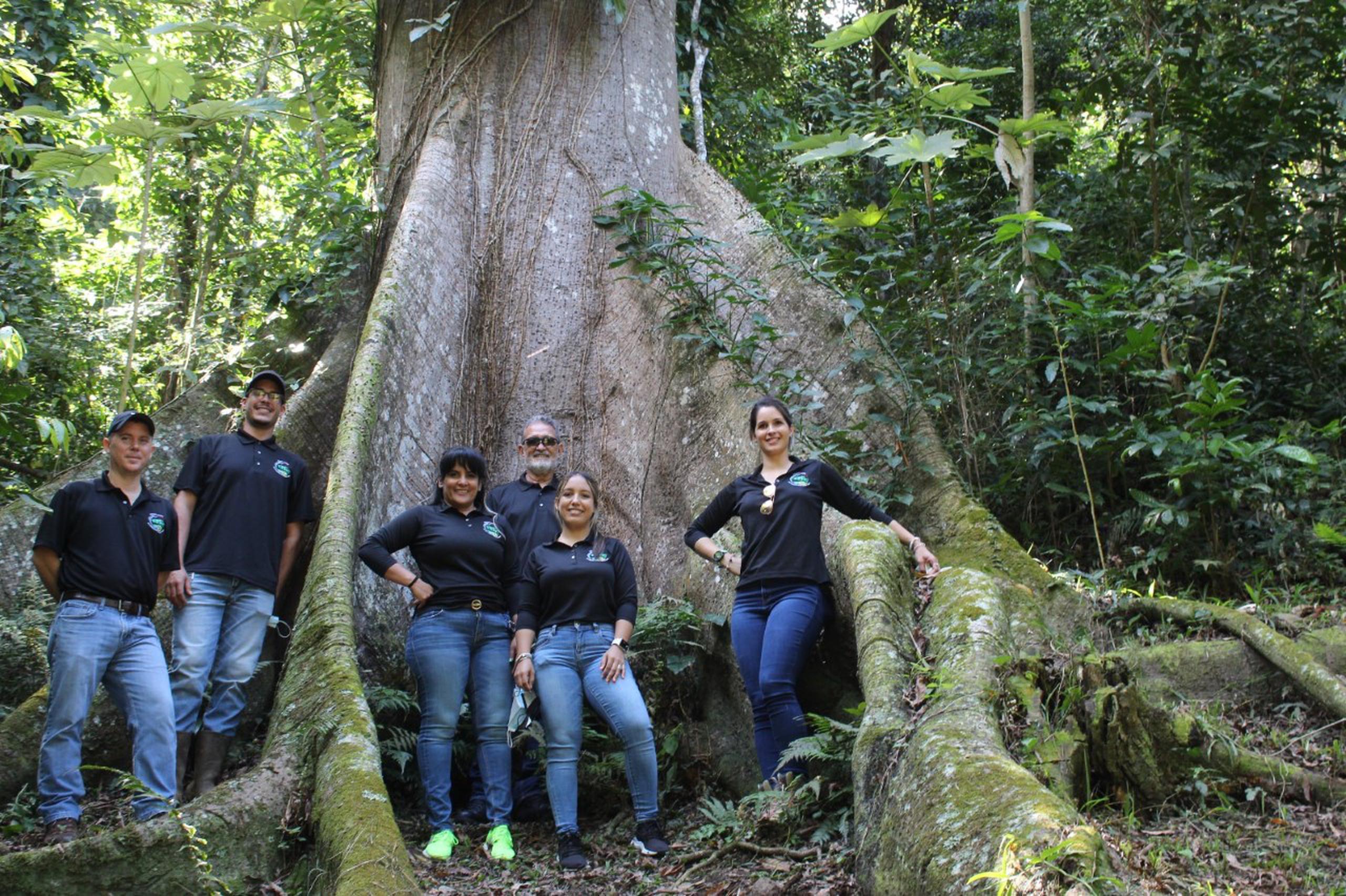 Apuestan a la siembra de 5,000 árboles para rescatar el medioambiente