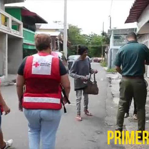 Voluntarios en la guerra contra el Zika