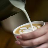 Agricultura firma medida para promover el consumo del café puertorriqueño