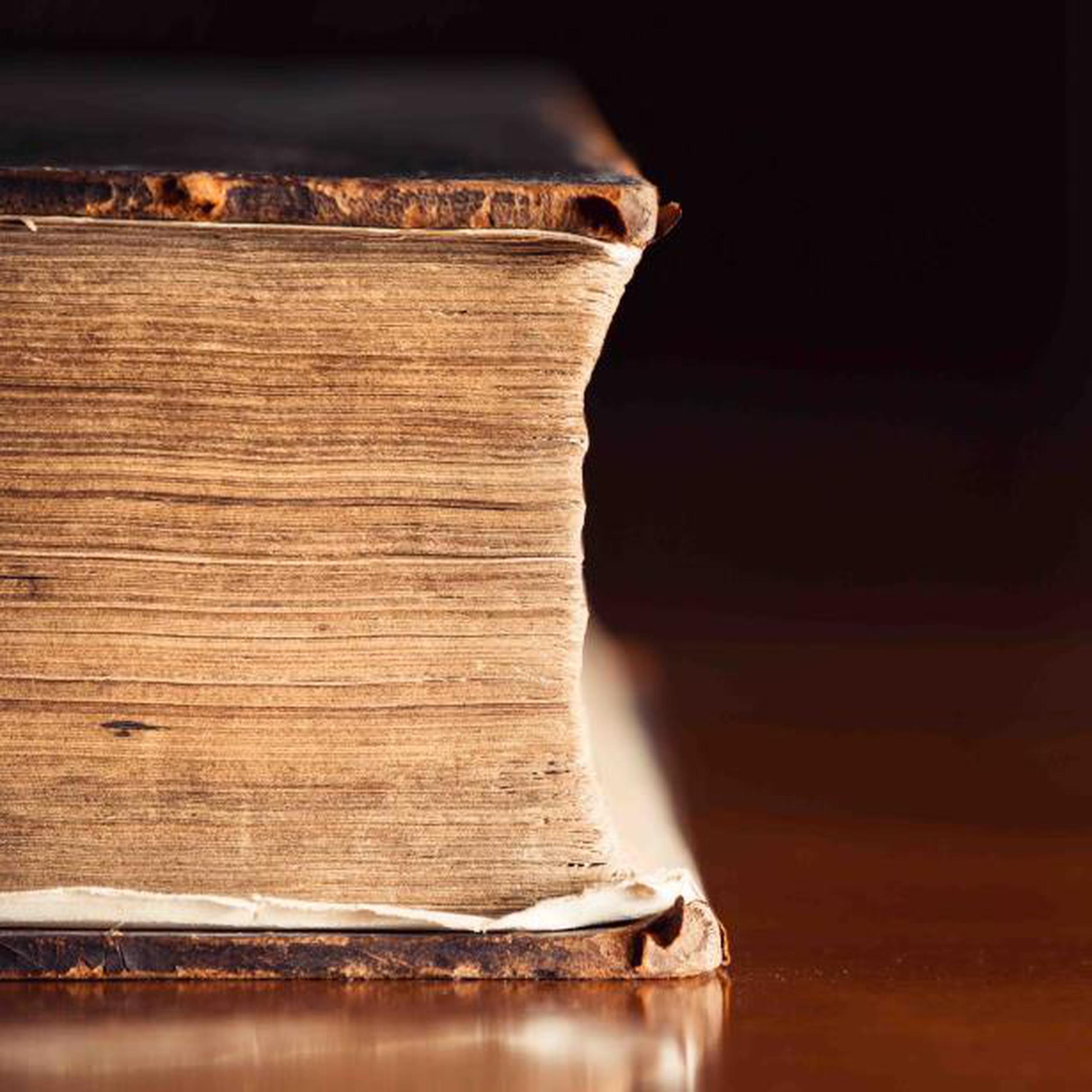 La Biblia publicada en 1615 fue encontrada en el Museo de Peregrinos Estadounidenses en Leiden, en Holanda. (Shutterstock)
