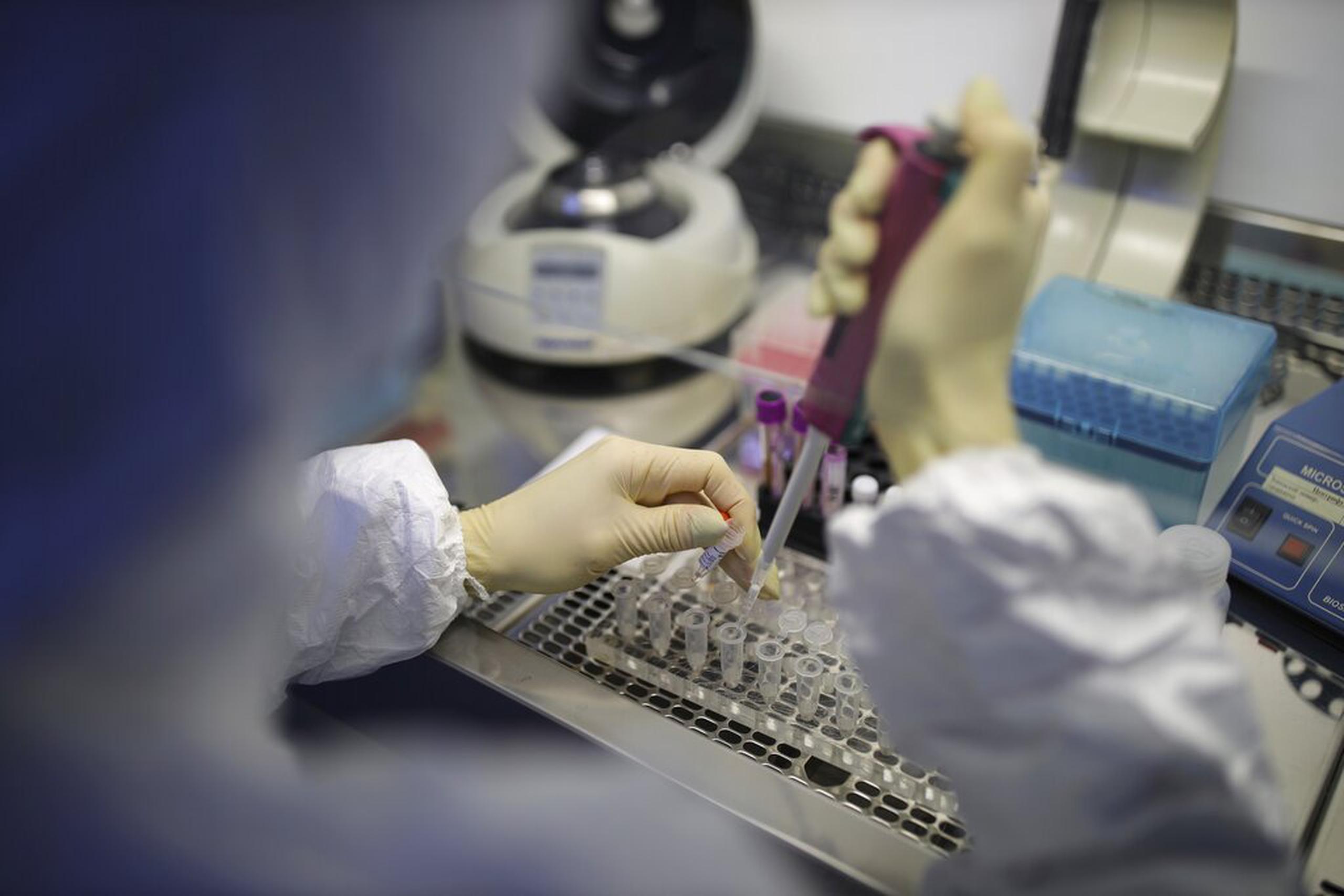 Un científico maneja equipos para pruebas de coronavirus en un laboratorio en Krasnodar, Rusia, el 4 de febrero del 2020. (AP Photo)