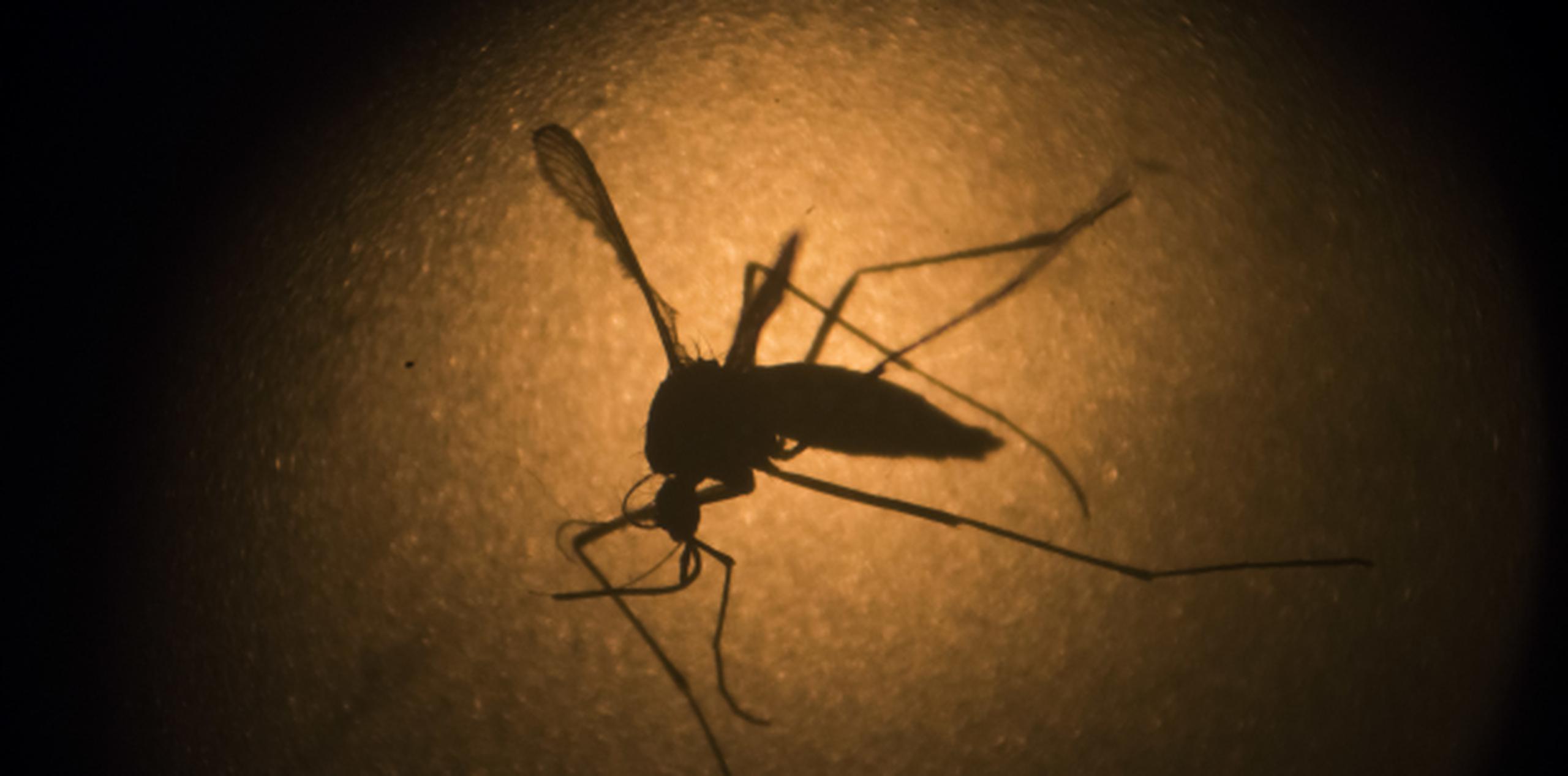 Las hospitalizaciones por el zika suman 40. (Prensa Asociada)