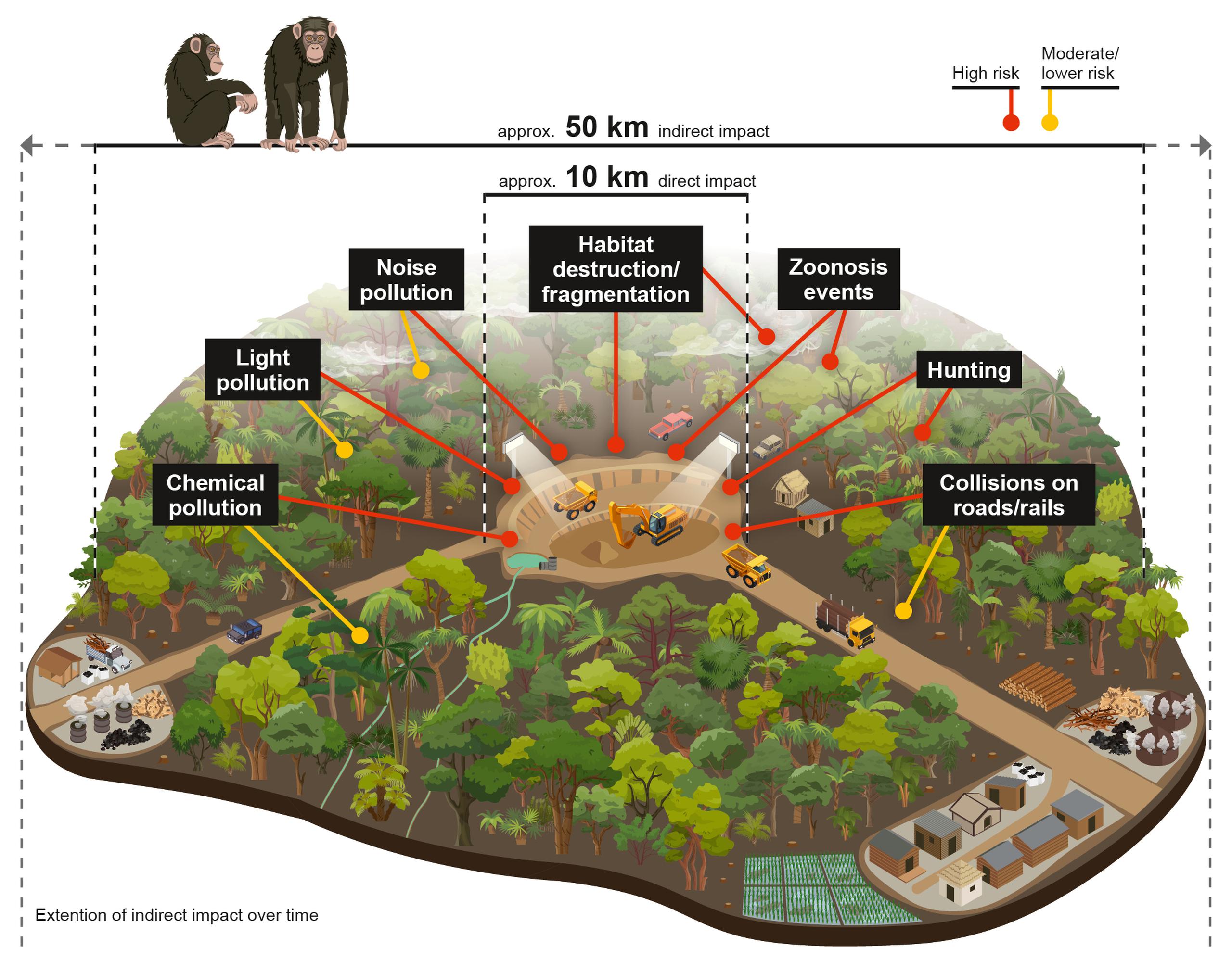 Gráfico de los impactos directos e indirectos de la minería en los grandes simios de África.  (Gabriele Rada/Centro Alemán de Investigación Integrativa de la Biodiversidad - iDiv)