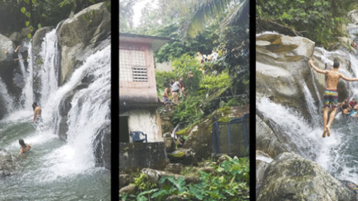 Un Patio Paradisiaco En San Lorenzo Primera Hora