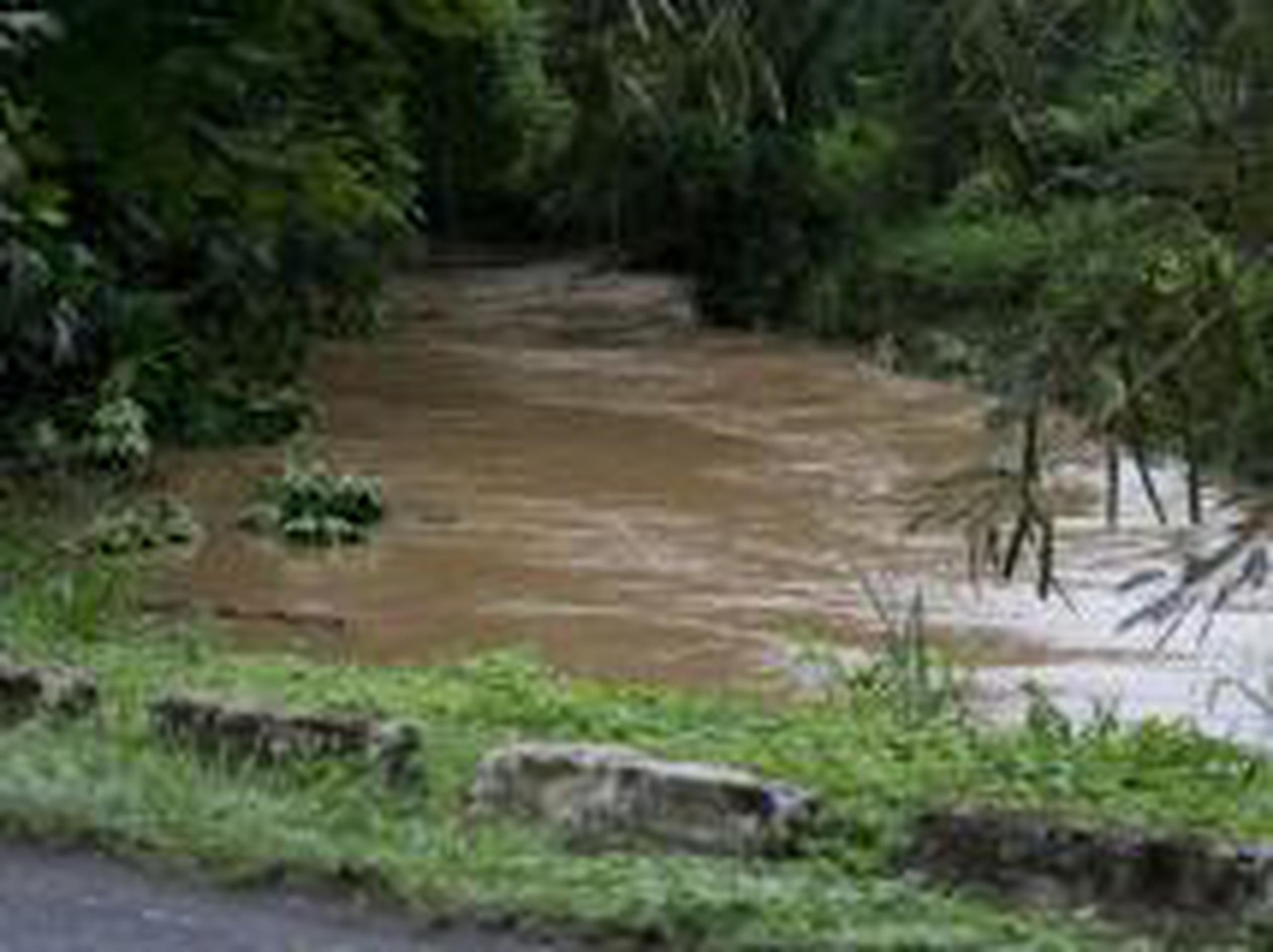 El río Cibuco al mediodía estuvo fuera de su cauce. (tonito.zayas@gfrmedia.com )