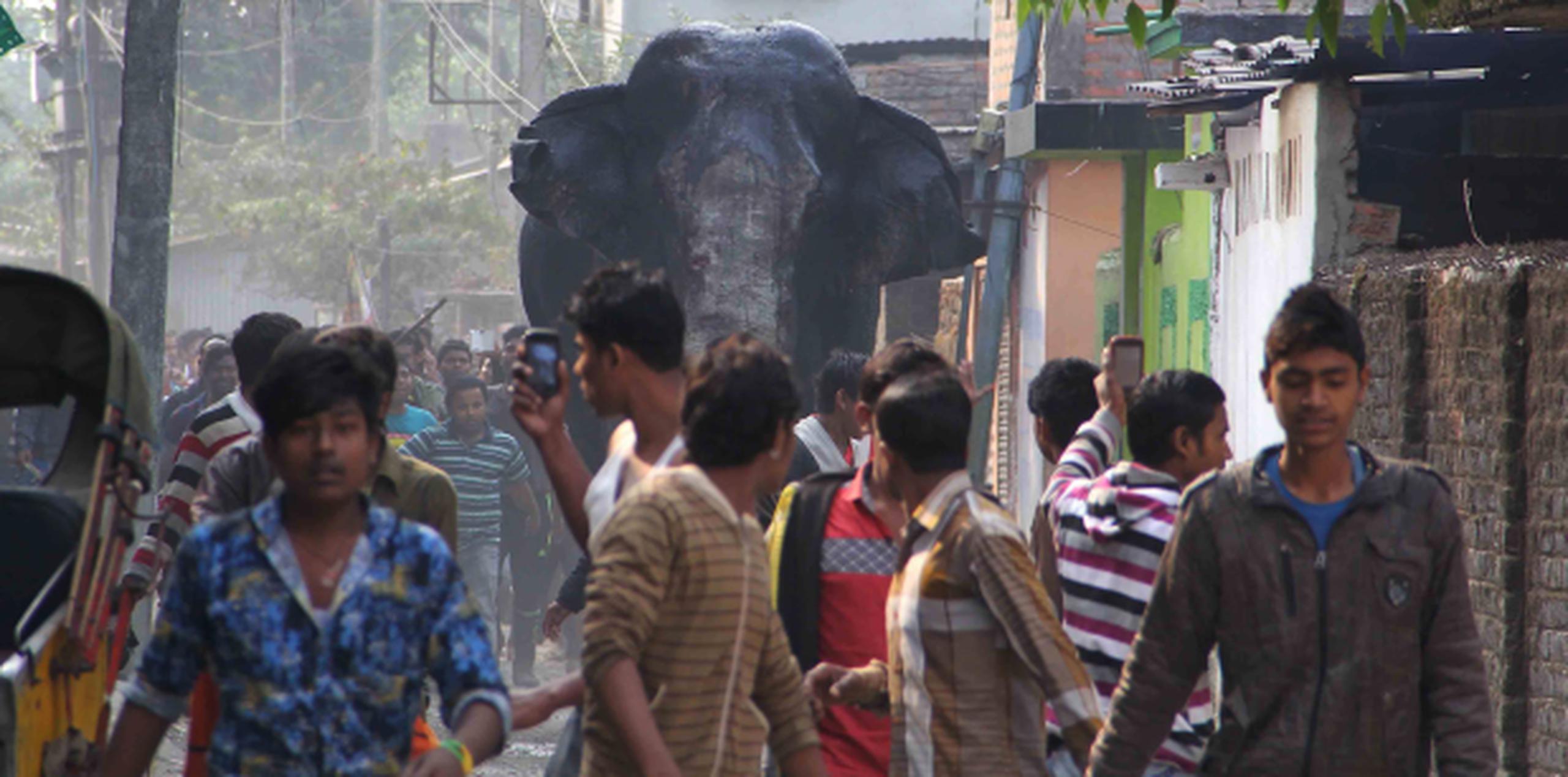 En un incidente similar del pasado miércoles, pero en India, otro elefante causó estragos al salir del bosque en el que suele vivir. (AP)