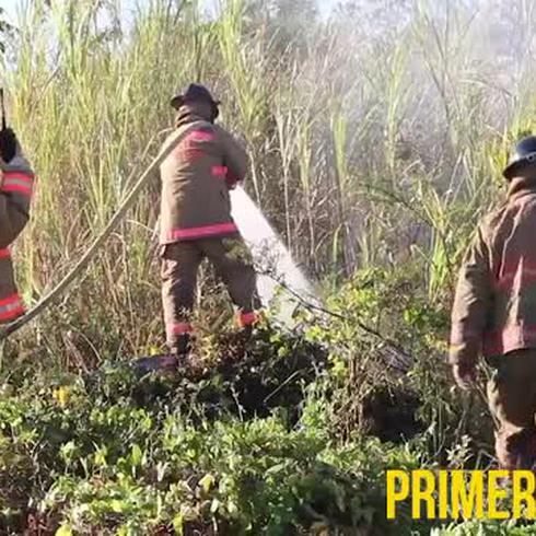 Bomberos controlan dos incendios forestales en Toa Baja