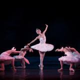 Ballet Nacional de Ucrania se presentará en el Centro de Bellas Artes de Santurce