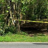 Hallan cadáver en estado de descomposición en carretera de Guayama