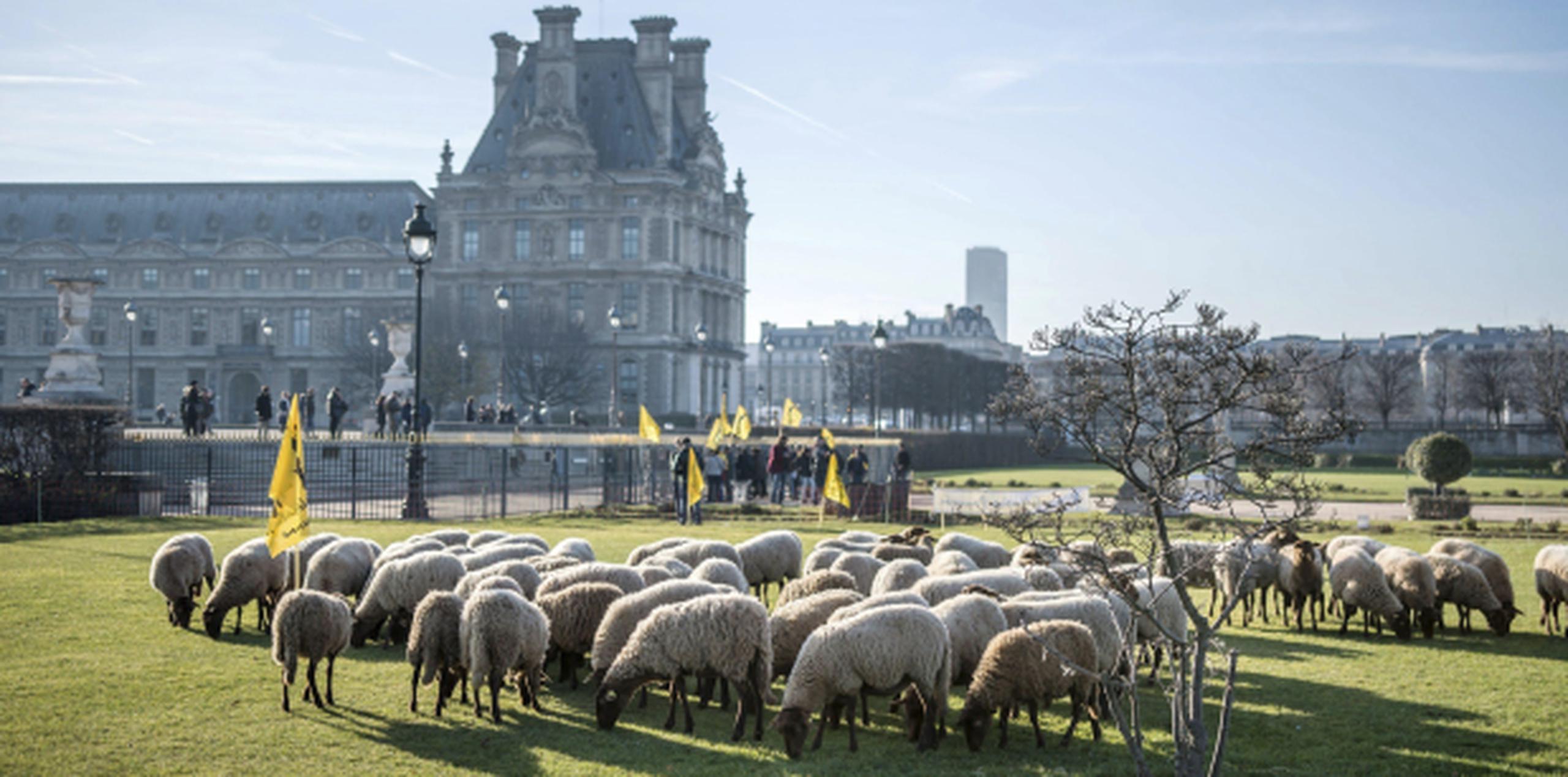 Los granjeros planean quedarse frente al Museo del Louvre por lo menos unos tres días hasta que atiendan su reclamo. (EFE/Christophe Petit Tesson)
