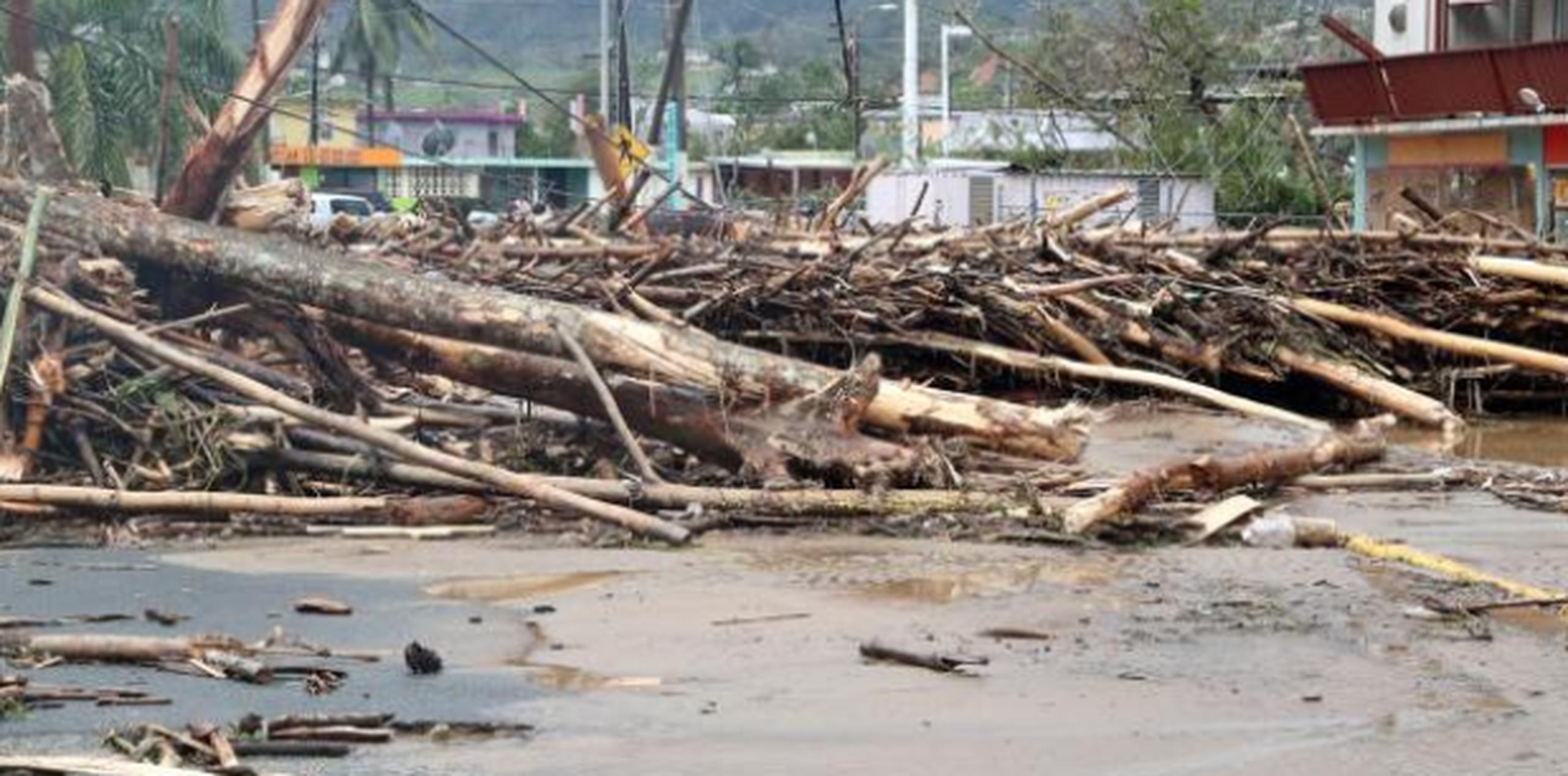 Tras cinco meses del huracán María la isla sigue sin estar energizada por completo. (Archivo)