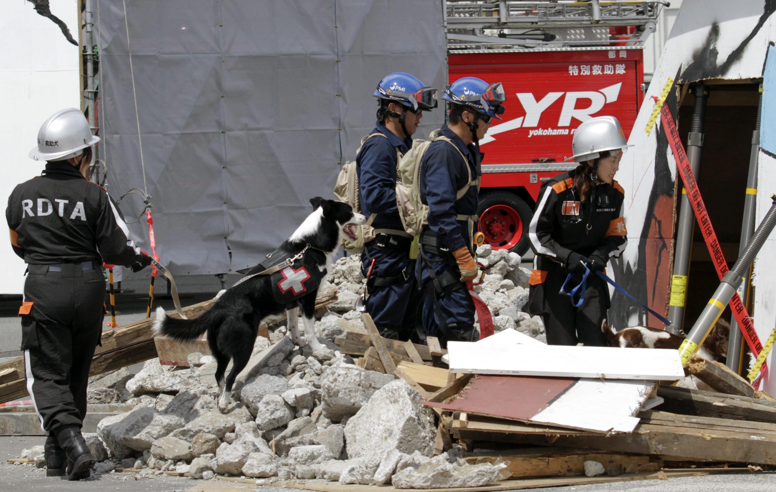 Miembros de los equipos de rescate de la Marina trabajan con perros rastreadores durante un simulacro de terremoto en Yokohama al sur de Tokio (Japón) . EFE/Kimimasa Mayama
