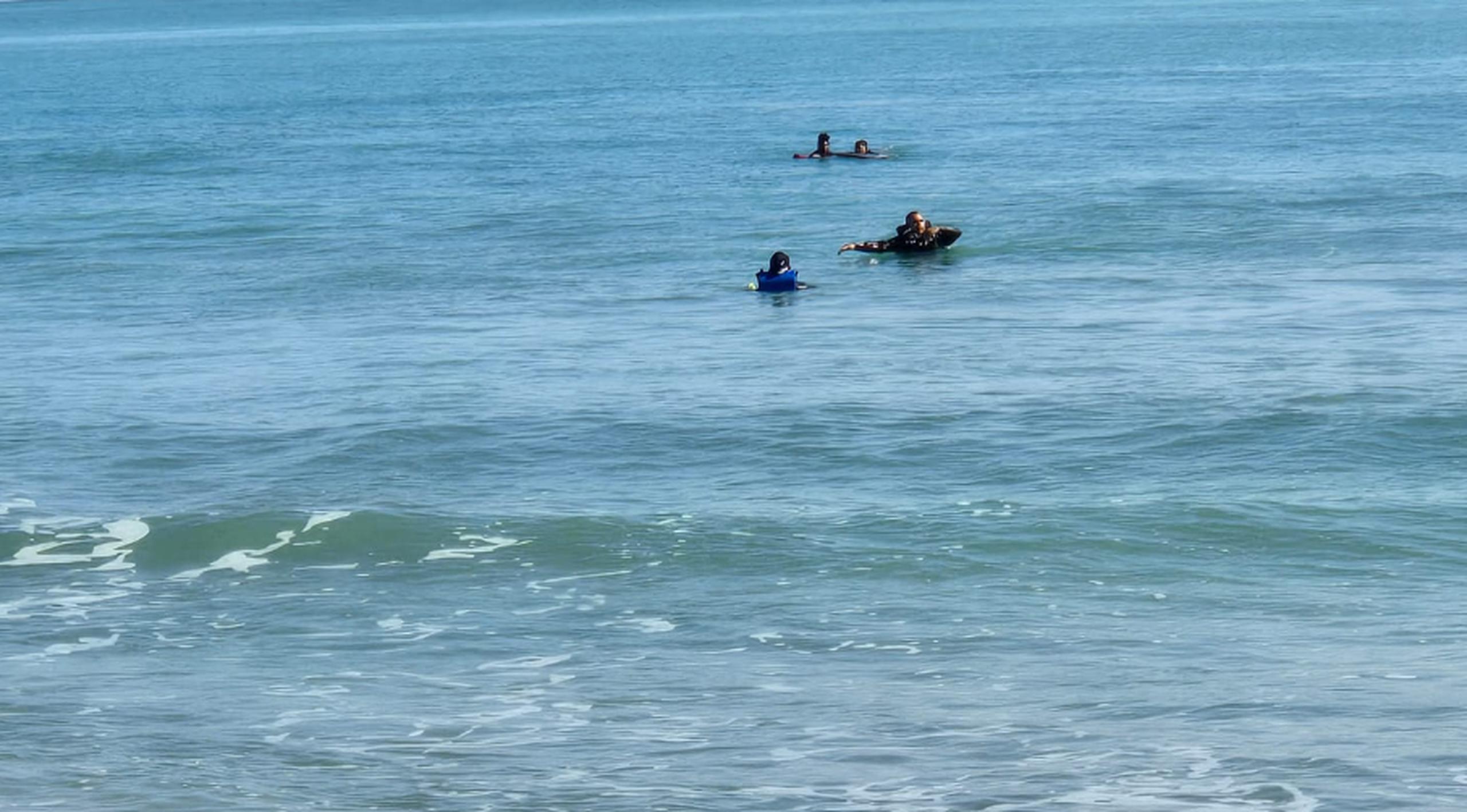 El rescate fue realizado en la playa Las Picúas, en Río Grande.