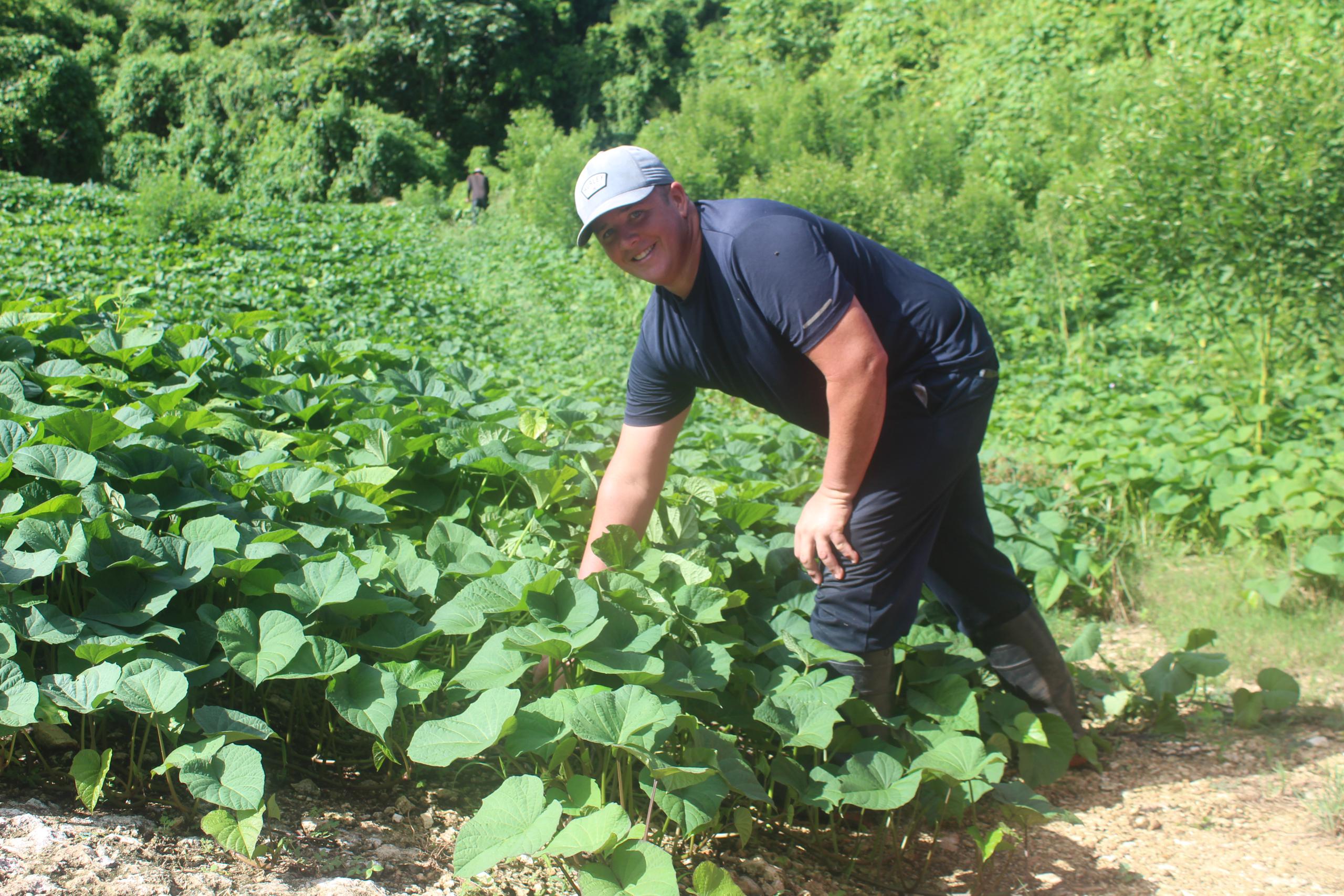 En un espacio de ocho cuerdas de terrenos, Alex Ibarra De León mantiene siembras de viandas y hortalizas.
