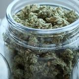 Gobernador vetó medida relacionada con el cannabis medicinal