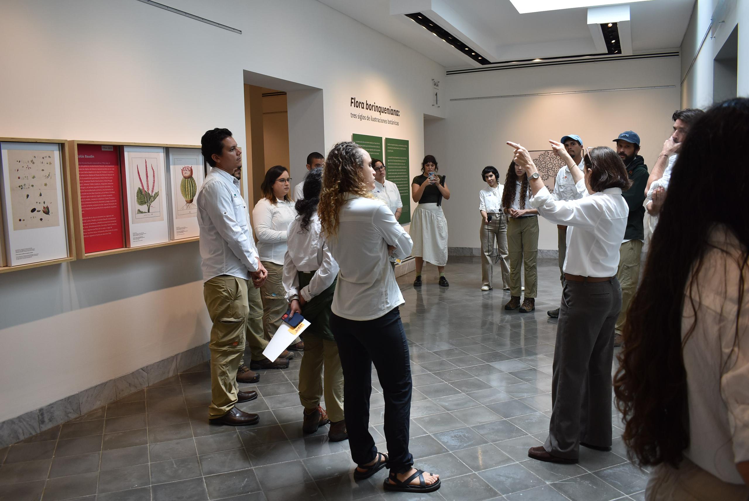 Las exposiciones que presentan MUSA están dedicadas a celebrar el desarrollo sustentable y la acción climática en Puerto Rico.