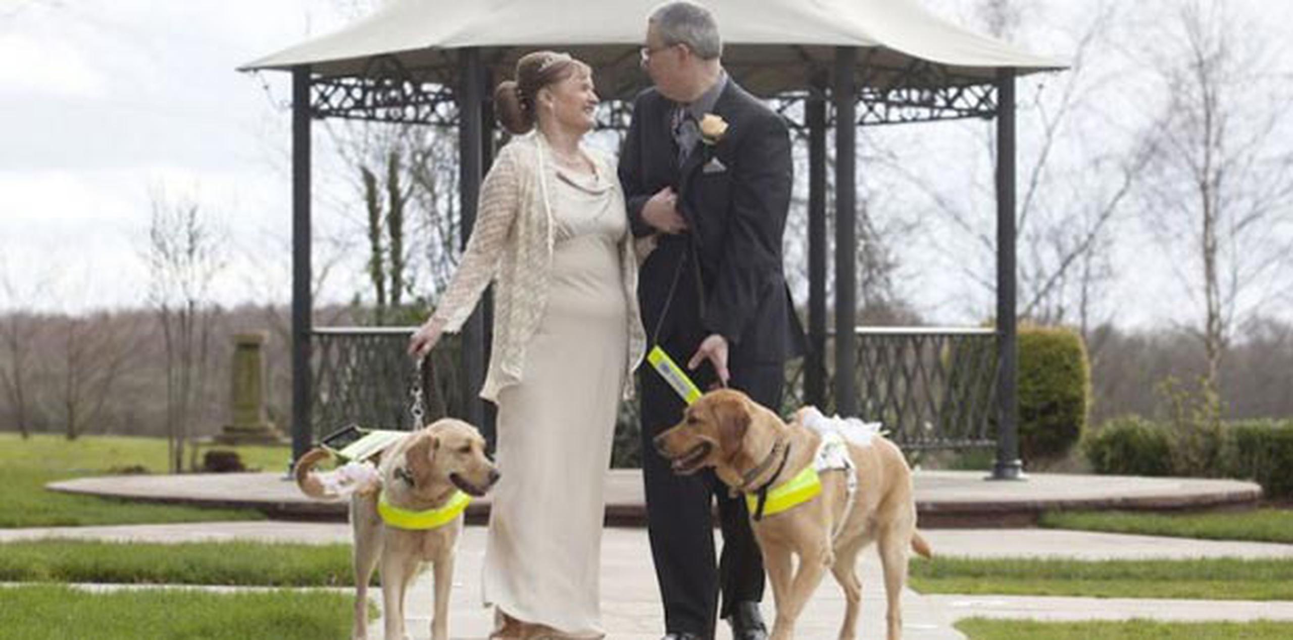 Durante la ceremonia, los perros de la pareja compuesta por Claire Johnson y Mark Gaffey los acompañaron hasta el altar y llevaron los anillos.  (The Guide Dog for the Blind Association)