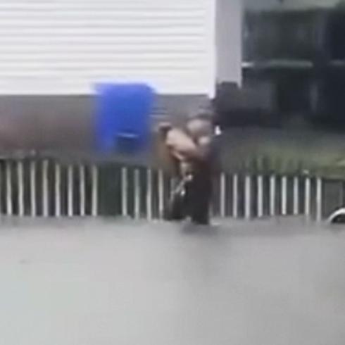 Rescatan a un perro durante tormenta tropical Ofelia