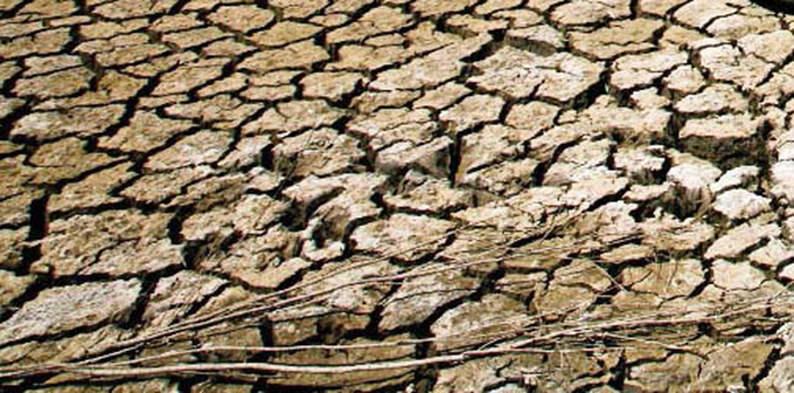 Los meses de enero hasta la fecha han sido los más secos registrados en la isla desde el año 1901. (Archivo)