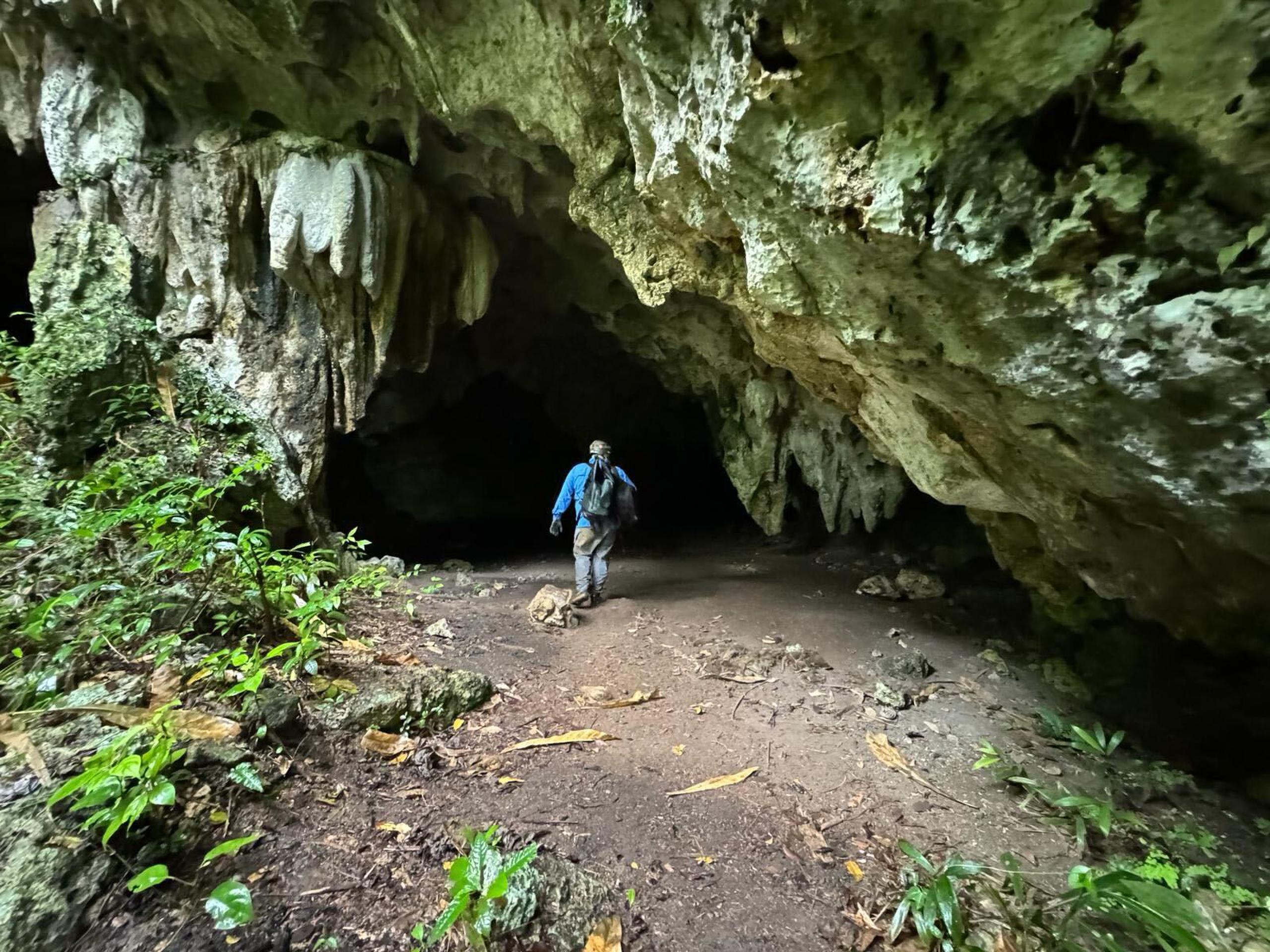 El profesor de la UPR en Arecibo, Ángel Acosta Colón, se adentra en una de las cavernas.