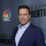 Arnold Schwarzenegger regresa a su Austria natal