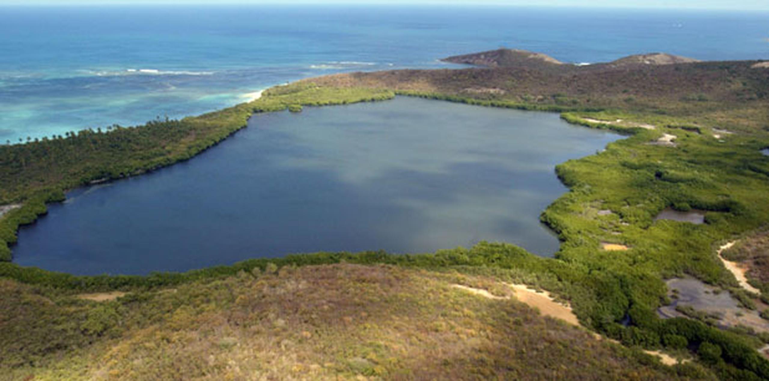 Se trata de la erosión de las costas y la pérdida de bioluminiscencia en varias bahías del norte, sobre todo en Laguna Grande (en la foto), en Fajardo, y Bahía Mosquito, en Vieques. (Archivo)